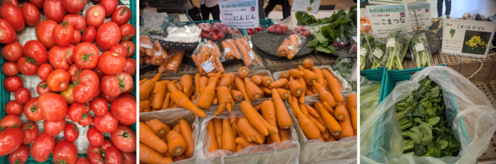 ～わけあり野菜をおいしく食べよう～「もったいないをおいしくフェア」開催結果についてのメイン画像