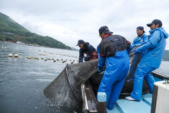 山口県室津で新たな「サステナブル漁業プロジェクト」発足　「定置網自主的資源管理×藻場保全」で未来を拓けのメイン画像