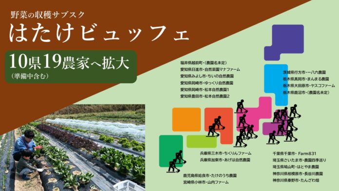 野菜採り放題サービスで消費者も生産者も得する！「収穫サブスク農園」が全国7県に拡大【兵庫・鹿児島で新規オープン】のメイン画像