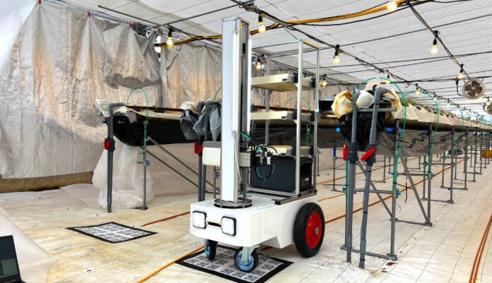 【民間企業への導入初】ロボつみ®（いちご自動収穫ロボット）をNTTアグリテクノロジーが実証実験（※）に活用のメイン画像
