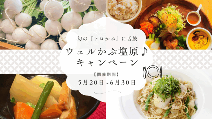 【那須塩原ブランド】幻の「塩原かぶ」を使った料理が食べられる！ウェルかぶ塩原キャンペーン開催のお知らせのメイン画像