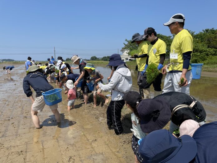 上越伝統自然薯そばや地酒を堪能　生産者と協同し田植えやそば打ち　5月31日（土）6月1日（日）〔東京〕のメイン画像