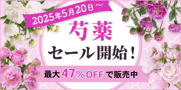 【MAX47％OFF】芍薬SALEを2025年5月20日～開催！｜花の卸通販フラワースミスマーケットのメイン画像