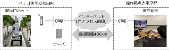 エッジコンピューティングの品質制御による遠隔収穫ロボット操作に成功のメイン画像