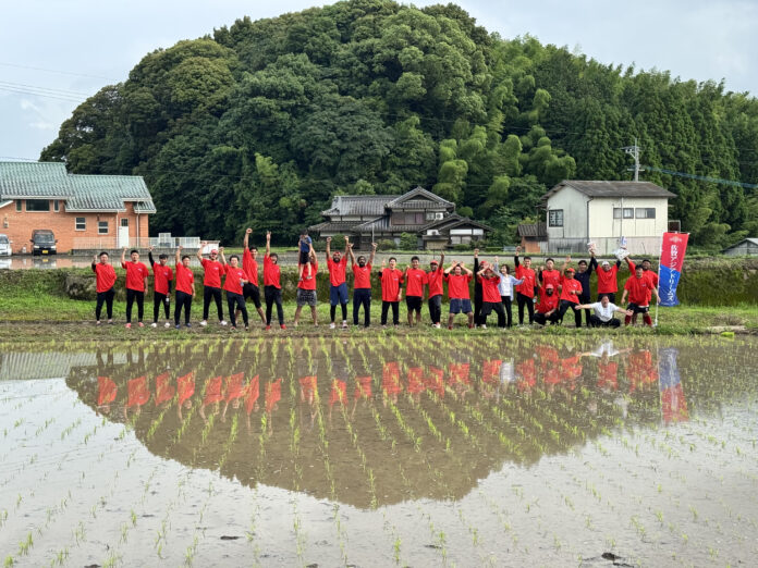 異色のプロ野球チーム、米づくり開始！のメイン画像