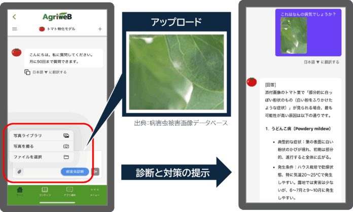 病害虫画像診断が可能に！営農指導員も使う「栽培アシストAI」がさらに進化のメイン画像