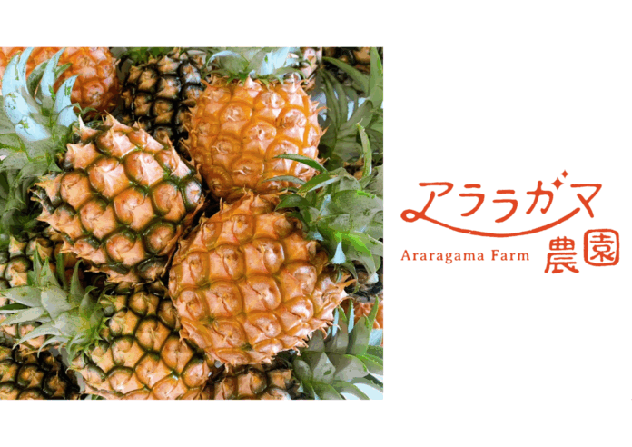アララガマ農園、“香りまで美味しい”完熟ミニピーチパインを数量限定で出荷開始のメイン画像