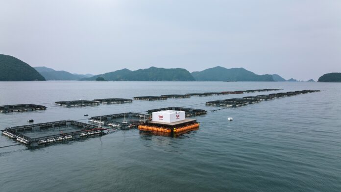 サステナブルな水産業の実現を目指す遠隔自動給餌システムの共同実証試験を開始のメイン画像