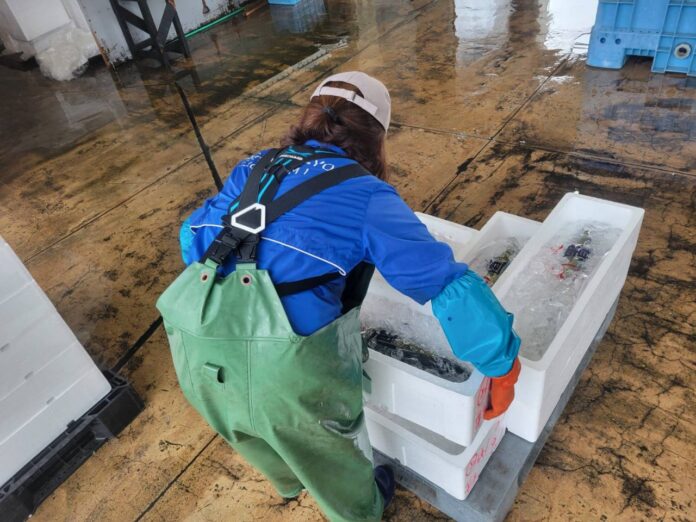 高齢化・腰痛・人手不足に挑む 200年以上続く定置網漁の現場へアシストスーツを日昇漁業㈱に導入のメイン画像
