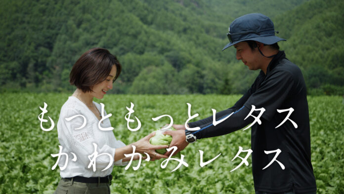 TOKYO FMが、日本一のレタス生産量・川上村のレタスのプロモーション動画を制作！動画『もっともっとレタスかわかみレタス』のメイン画像