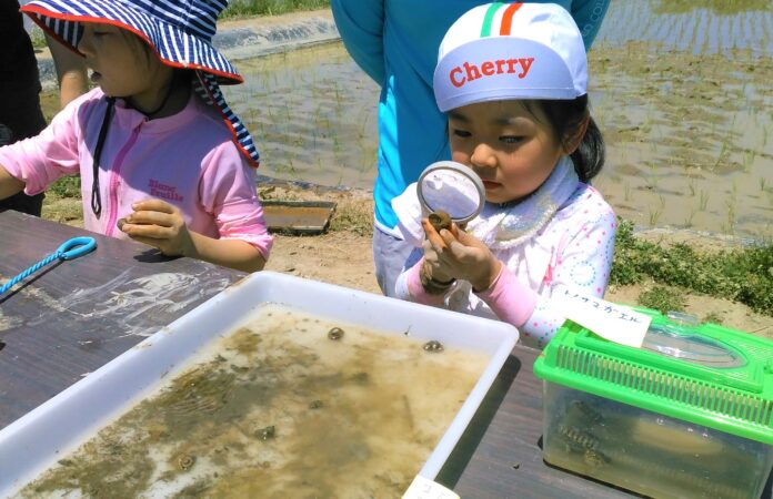 米づくりの“真髄”知ろう　佐久市で草取り体験と生き物観察　6月28日（土）〔東京〕のメイン画像