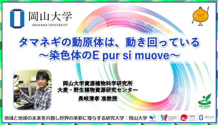 【岡山大学】タマネギの動原体は、動き回っている〜染色体のE pur si muove〜のメイン画像