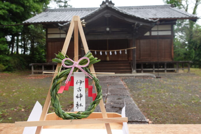 【JAF埼玉】「JAFデー 茅の輪づくり・ブルーベリー狩り体験ツアー」を開催します！のメイン画像