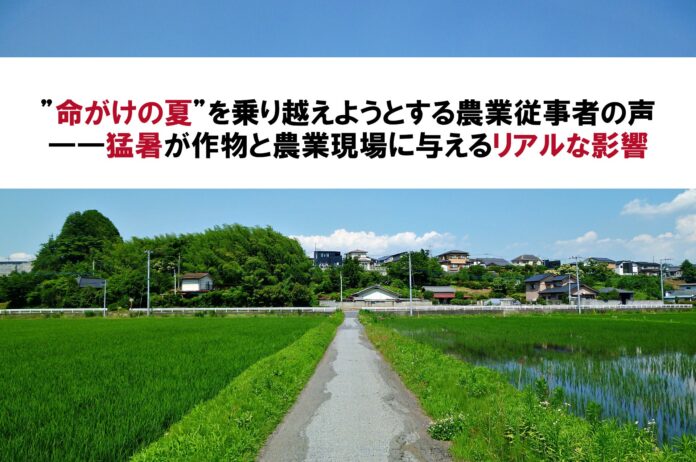 【農機具王】”命がけの夏”を乗り越えようとする農業従事者の声――猛暑が作物と農業現場に与えるリアルな影響とはのメイン画像