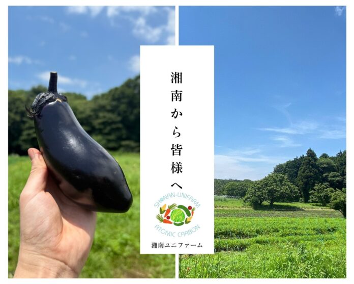 湘南の畑から“やさしさ野菜”をお届け。株式会社ユニファイヘルスケアが運営する「湘南ユニファーム」、行幸マルシェに初出店のメイン画像