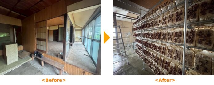 空き家をキクラゲ栽培施設に！クールコネクトがリノベーション＆借上げで運用開始のメイン画像