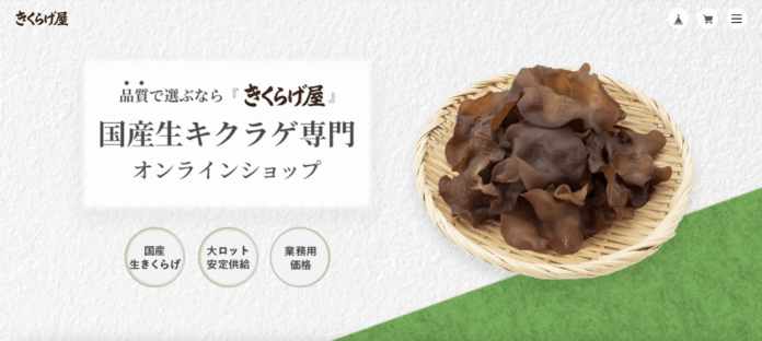 【クールコネクト】国産生きくらげ専門ECサイト「きくらげ屋」サービス開始のお知らせのメイン画像