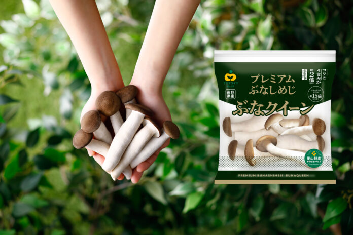 年間2,000t以上の使用済培地を活用した、サステナブルで大粒のプレミアムぶなしめじ　ミスズライフの『ぶなクイーン』がパッケージをリニューアルのメイン画像