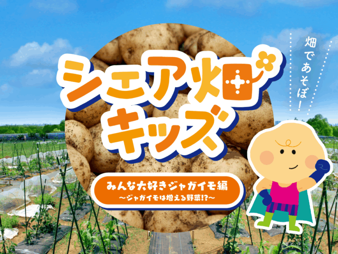 お子さまの「生きる力」を育む3か月間！野菜を育てて、食べて、学ぶ『シェア畑キッズ』 秋の短期プログラム募集開始のメイン画像