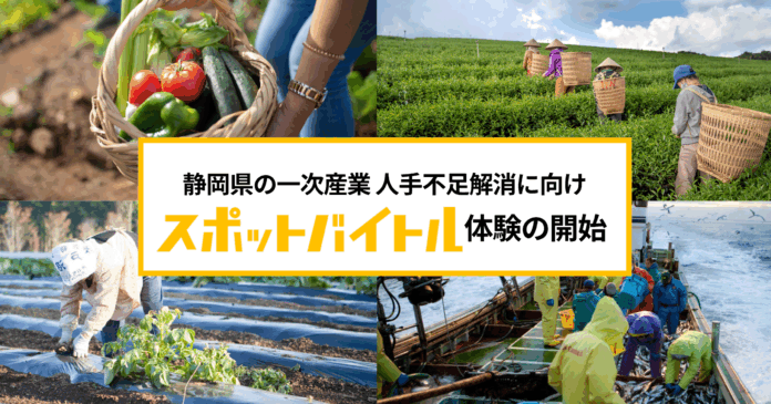 スポバ体験を通じて静岡県の一次産業に新たな担い手創出を。ディップ×SBSラジオ「スポットバイトル体験企画」7月24日より開始のメイン画像