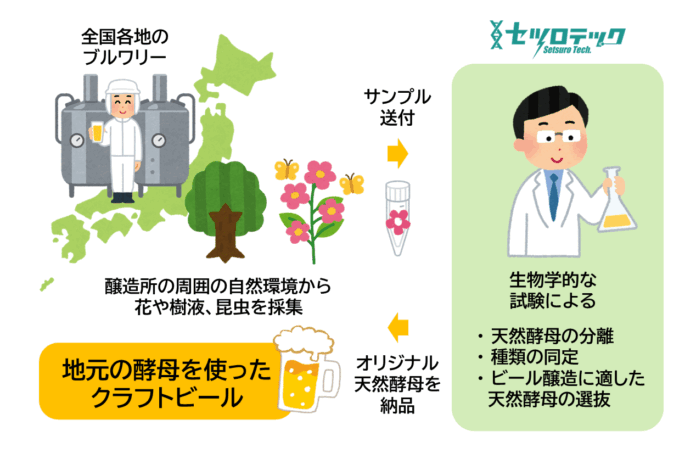 醸（かも）すやつらが変わるかも！ 自然環境からの「ビール酵母スクリーニングサービス」を新発売のメイン画像
