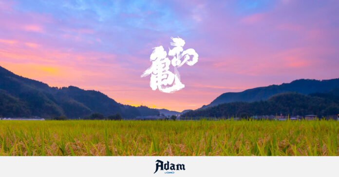 静岡最古の酒蔵「初亀醸造」、珠玉のディナーイベント参加権利付きNFTチケットを「Adam byGMO」で販売開始のメイン画像