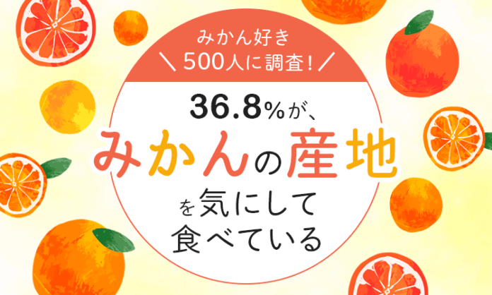 【みかん好き500人に調査！】36.8％が、みかんの産地を気にして食べているのメイン画像