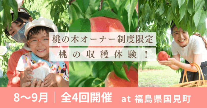 【8〜9月開催】桃の収穫体験！＠福島県国見町のメイン画像