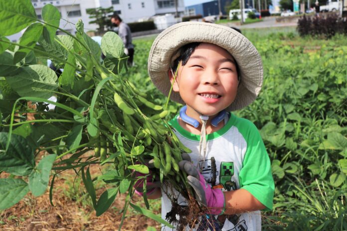 伊勢崎市で夏の農業体験　4月に種まきした枝豆の収穫・試食　7月12日（土）〔群馬〕のメイン画像