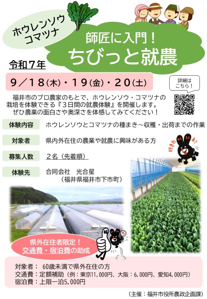 《福井県福井市》交通費・宿泊費助成！！農業の面白さ・奥深さを体感！ホウレンソウ農家のもとで”ちびっと”就農してみませんか。『３日間（９/１８～２０）の就農体験』参加者募集中！のメイン画像