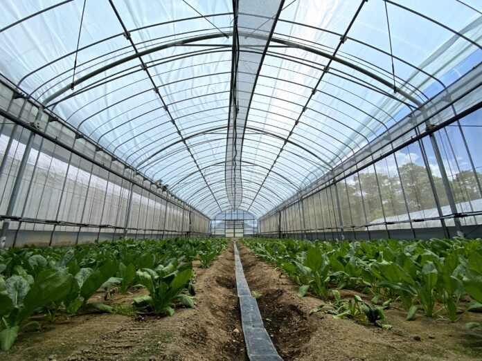 農業プロジェクト「ReFarm by SOLAMENT」本格始動のメイン画像