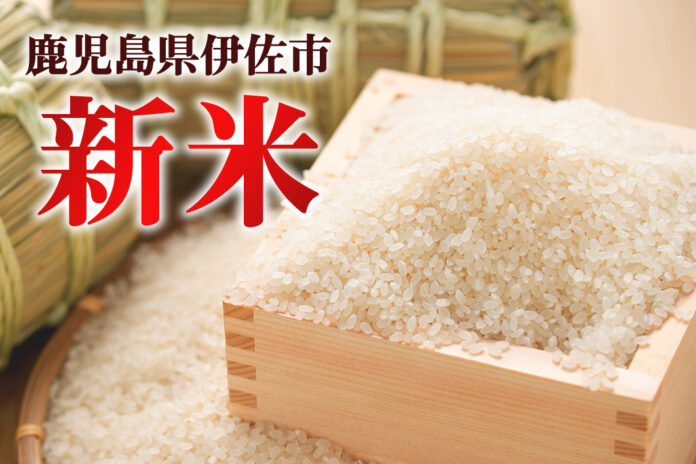 令和7年産！鹿児島県伊佐市のふるさと納税、新米の先行予約開始のメイン画像