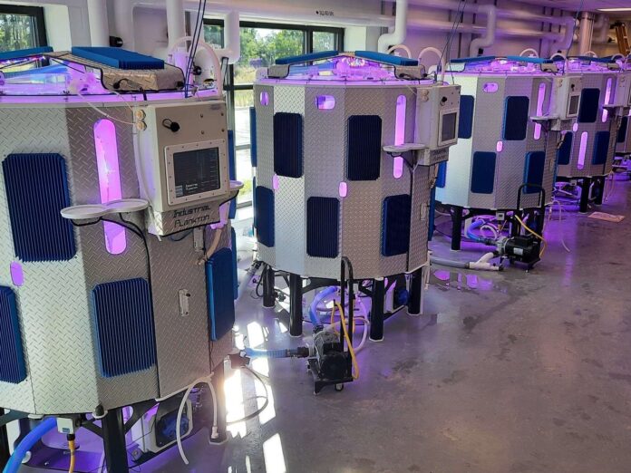 宇宙船!? ロボット!? 実は、カナダ製の微細藻類の培養装置。北海道から沖縄まで導入が広がり、日本の水産業を進化させている！のメイン画像