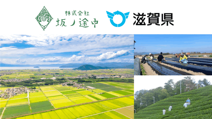 官民連携でオーガニック野菜の担い手を育成のメイン画像
