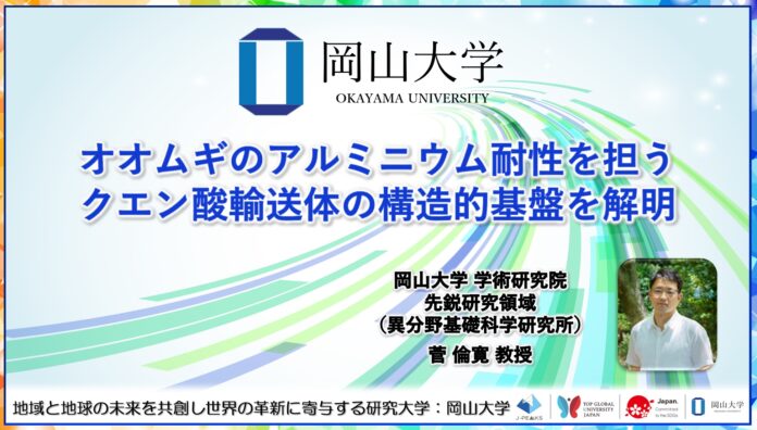 【岡山大学】オオムギのアルミニウム耐性を担うクエン酸輸送体の構造的基盤を解明のメイン画像
