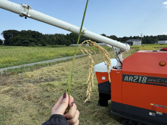 【農機具王 三重店】自社で栽培したお米（地域の子どもたちのご飯 約880食分）をこども食堂へ寄付のメイン画像