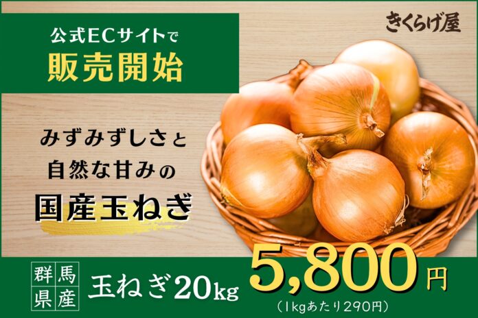 【ECサイトきくらげ屋】国産玉ねぎの販売開始のお知らせのメイン画像