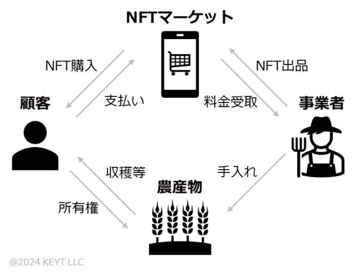 奈良の食と農を応援できるNFT。第一弾「柿の木NFT」販売開始！のメイン画像