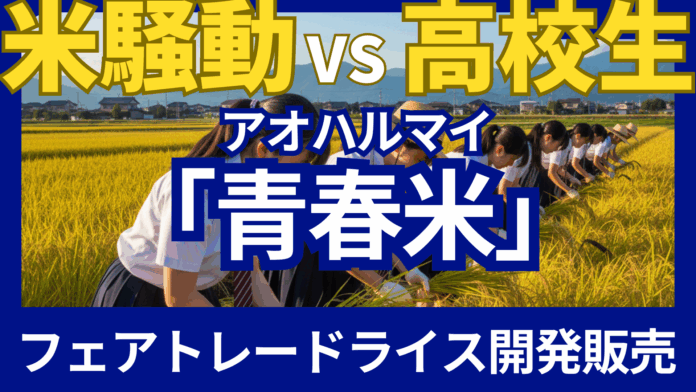 高校生が「フェアトレードライス」で令和の米騒動に挑む！のメイン画像