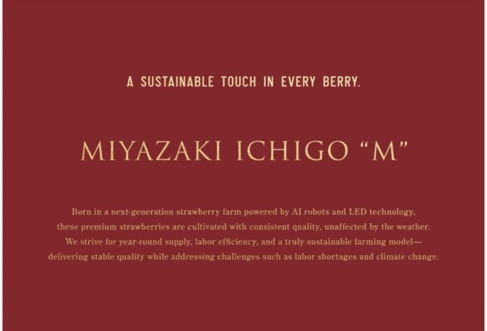 ディープテック・スタートアップAGRIST、1粒1000円イチゴ「M」の世界展開構想を発表。米良企業グループのLED栽培技術を活用のメイン画像