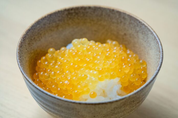 Smolt、2026年度「イクラ」受注生産の受付開始のメイン画像