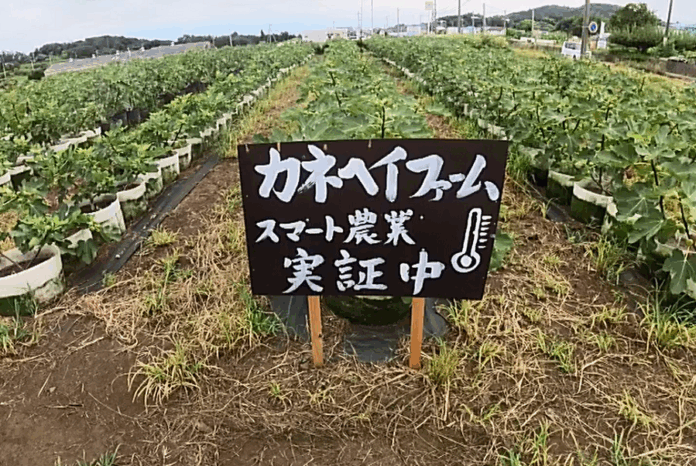 ISEは、状況をイメージで解釈し、対象者に行動変容を働きかける独自技術をスマート農業分野へ展開するため、実証を開始しましたのメイン画像