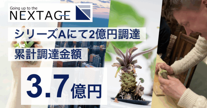 わさび栽培のNEXTAGE、シリーズAラウンド（2nd close）で2億円の資金調達を実施のメイン画像
