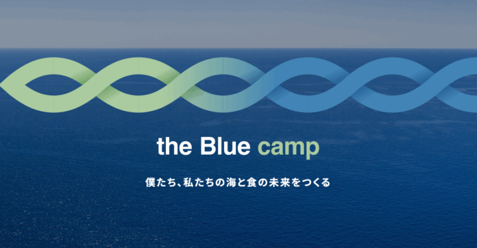 ＜漁港での実体験から、社会に問いかけるレストランの開業まで＞魚が食卓から消える危機を乗り越えるトップシェフと学生による超実践型プログラム「ブルーキャンプ 2025」9月1日より募集開始のメイン画像