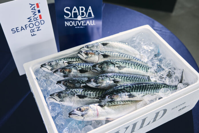 初輸入から5年目となる秋の風物詩最旬のノルウェー産プレミアムサバ「サバヌーヴォー®」本日上陸のメイン画像