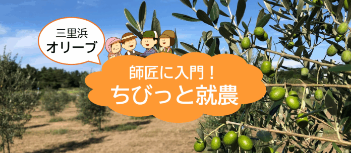 【交通費・宿泊費の助成あり】福井でオリーブ！？果実からオリーブオイルができる感動を体感！「１０/３０～１１/１の就農体験」参加者募集中！のメイン画像