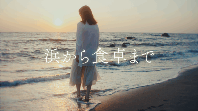 ニチモウ初のＣＭ『浜から食卓まで』編をテレビにて放映しますのメイン画像