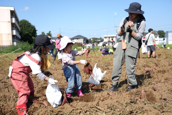 生産者と消費者でサツマイモとシイタケ収穫　「きのこのごった煮」に舌鼓　つくば市で　10月11日（土）〔茨城 栃木〕のメイン画像
