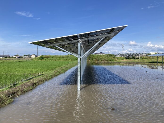 ソーラーシェアリングのスマートブルー、ヤンマーホールディングスが米原市において進める営農型太陽光発電事業を受注のメイン画像