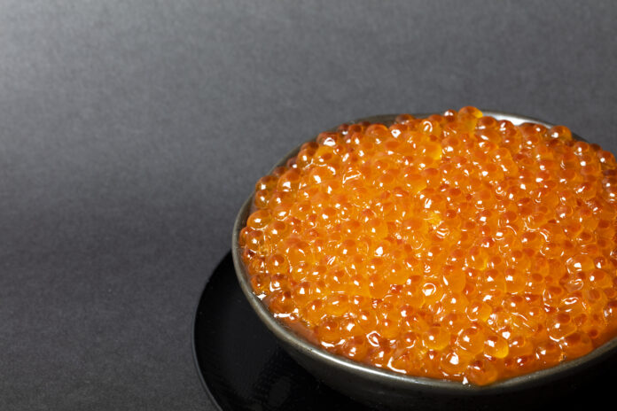 Smolt、100%メス生産体制によるイクラ生産の本格化を目指すのメイン画像